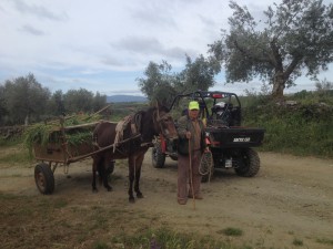 quad insolite